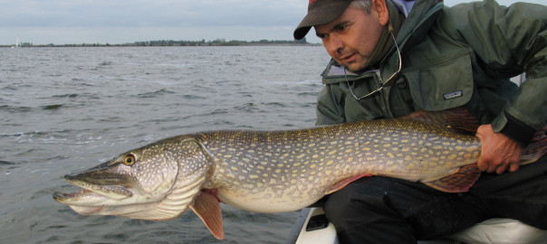 Rob Kraaijeveld