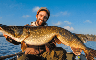 Pike Fishing Sweden