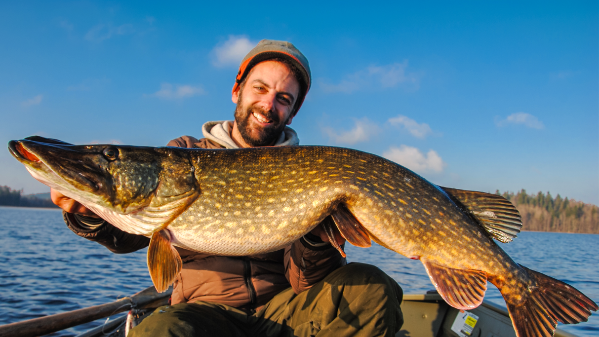 Pike Fishing in Sweden